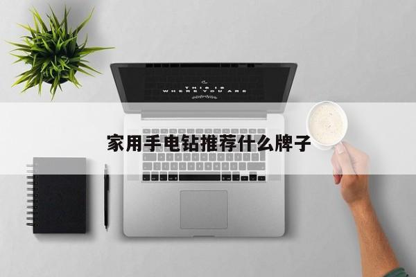 家用手电钻推荐什么牌子