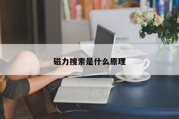 磁力搜索是什么原理