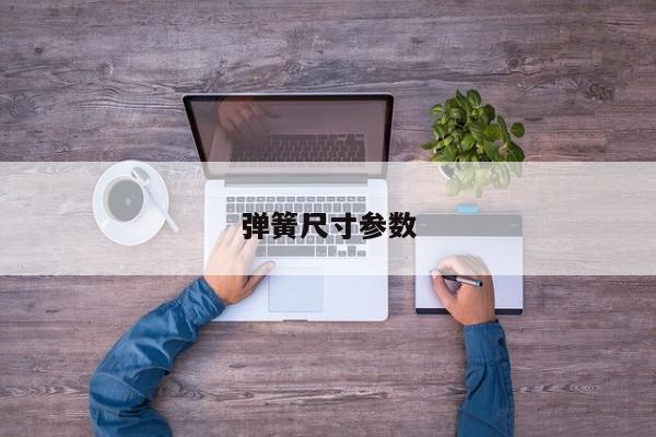 弹簧尺寸参数