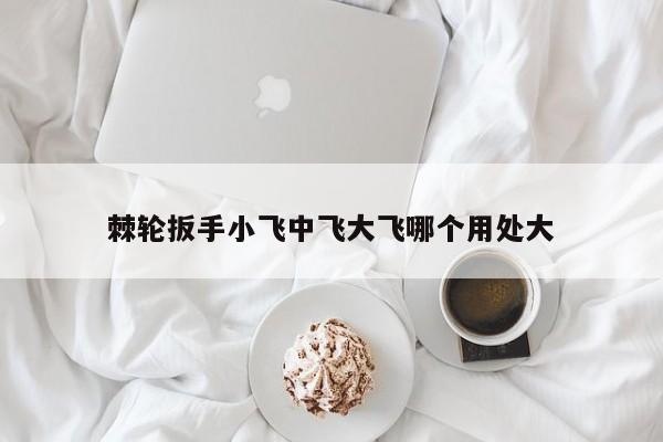 棘轮扳手小飞中飞大飞哪个用处大