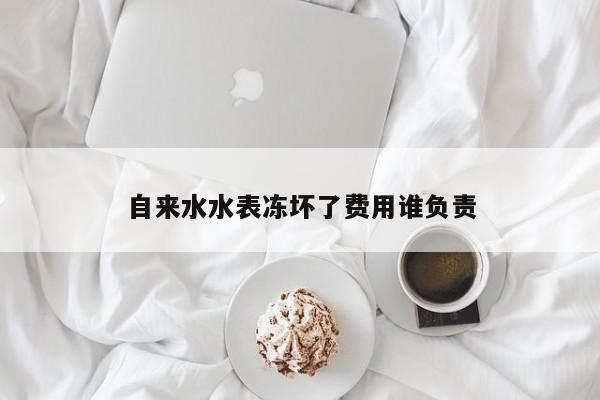 自来水水表冻坏了费用谁负责