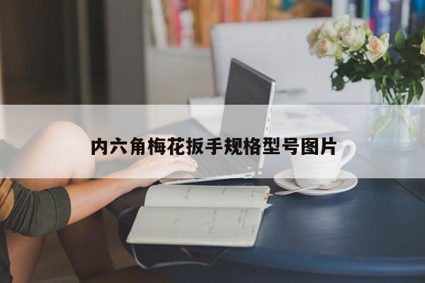 内六角梅花扳手规格型号图片