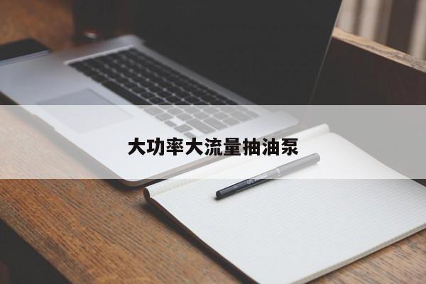 大功率大流量抽油泵