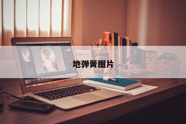 地弹簧图片