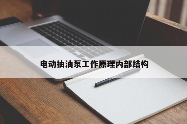 电动抽油泵工作原理内部结构