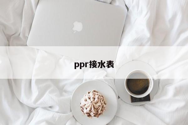ppr接水表