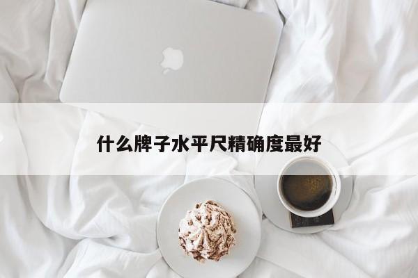 什么牌子水平尺精确度最好