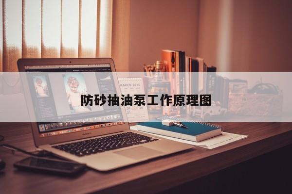 防砂抽油泵工作原理图