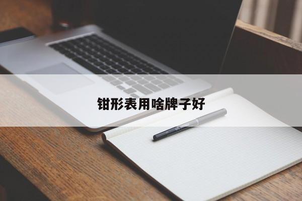 钳形表用啥牌子好