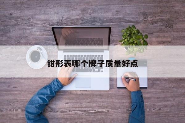 钳形表哪个牌子质量好点