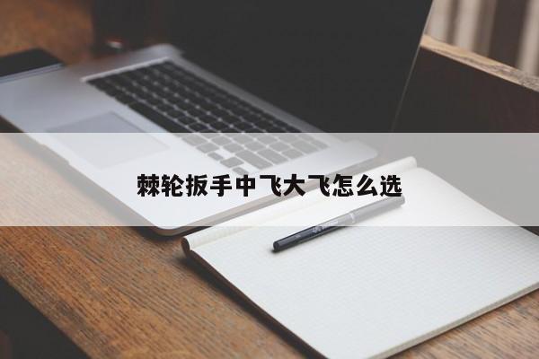 棘轮扳手中飞大飞怎么选